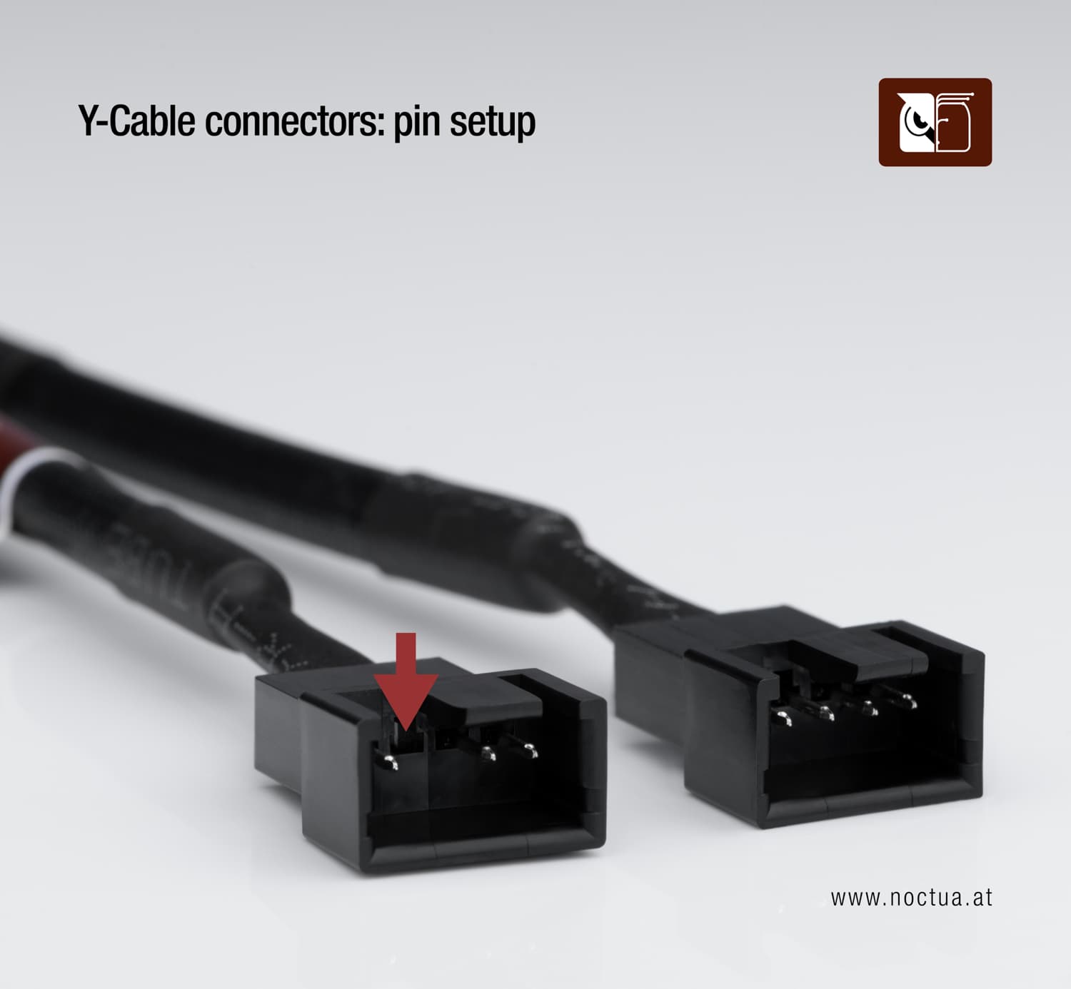 Photo of the two male connectors on a y-splitter cable. One of them has four pins, the other only three.