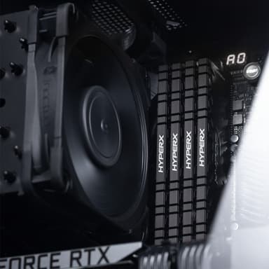 100% RAM Compatibility Image