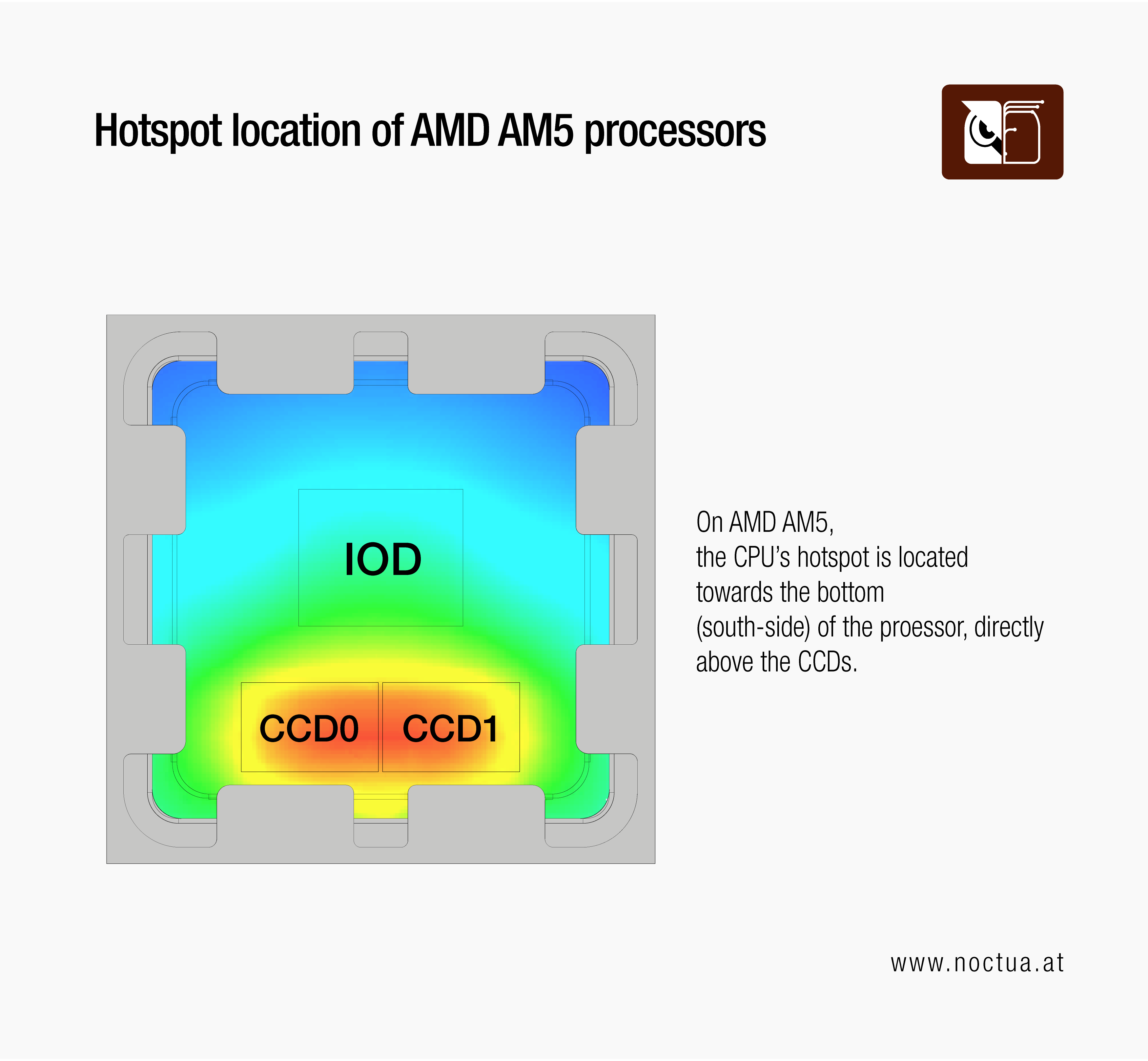 Thermal map of an AMD AM5 CPU showing hotspot location. The hottest area is at the bottom (south) side of the processor, directly above the CCD0 and CCD1 cores, while the IOD region in the center remains cooler.
